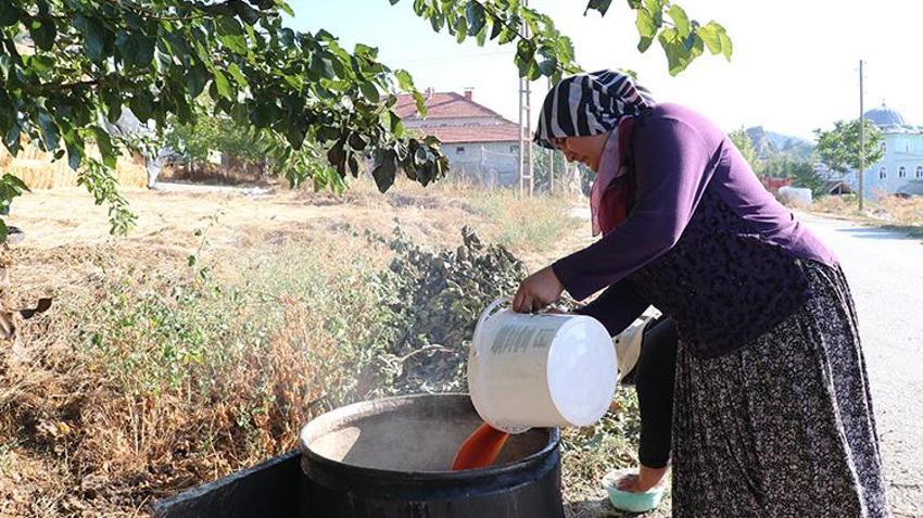 Tek bir damla su vermeden yetiştiriyorlar! Saatlerce kaynatıyorlar: Köylülerin geçim kapısı oldu