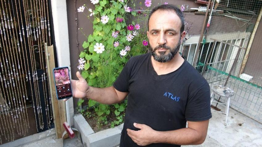 Piyasa değeri 800 Bin TL'yi bulan Şebap ırkı güvercinler 24 saat güvenlik Kameraları ve Belçika kurduyla korunuyor!