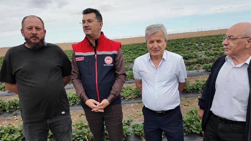 Tekirdağlı üreticiye dev destek: Yüzde 70 hibe veriyoruz