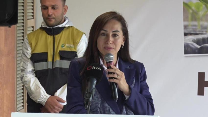 Beykoz'da topraklar boş kalmıyor: 625 bin kışlık sebze fidesi üreticilerle buluştu!
