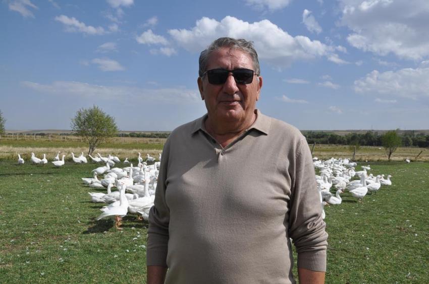 Eski Belediye Başkanı görev süresi bitti, kaz yetiştiriciliğine başladı: Geleneksel yöntemlerle beslediği kazları kesime hazırlanıyor!