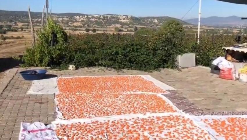 Un, yoğurt ve biberi harmanlıyorlar! Komşular bir araya geldi, kış hazırlığı başladı