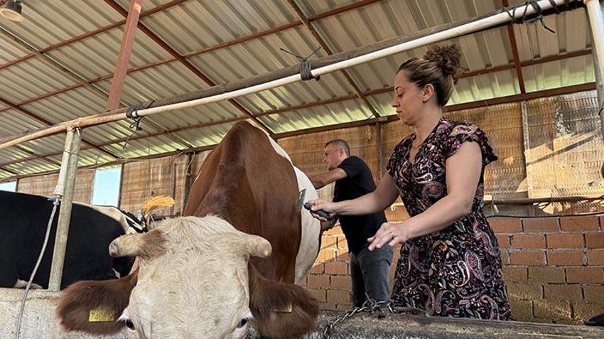 Emekli maden işçisi tazminatıyla babasından kalan atıl araziyi değerlendirerek çiftlik kurdu! Ürettikleri peynir ve yoğurtla gelir elde ediyorlar