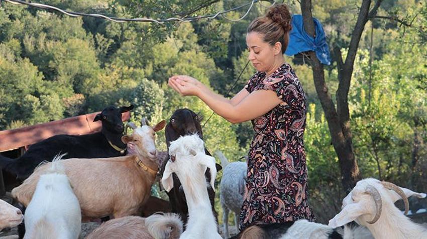Emekli maden işçisi tazminatıyla babasından kalan atıl araziyi değerlendirerek çiftlik kurdu! Ürettikleri peynir ve yoğurtla gelir elde ediyorlar