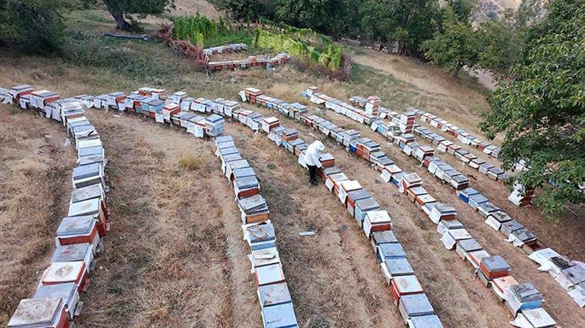Babasından kalan ineğini sattı, hayatını değiştirdi! 2 bin rakımda üretilen saf lezzet kapış kapış: Almanya'ya bile gönderiyor!
