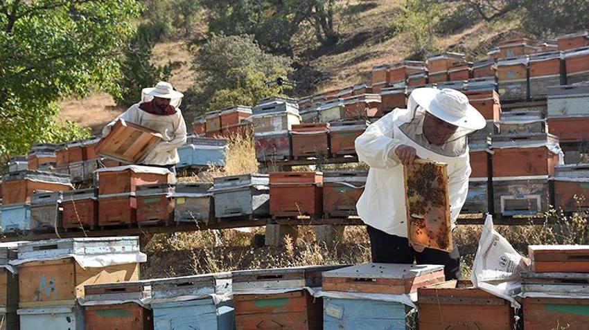 Babasından kalan ineğini sattı, hayatını değiştirdi! 2 bin rakımda üretilen saf lezzet kapış kapış: Almanya'ya bile gönderiyor!