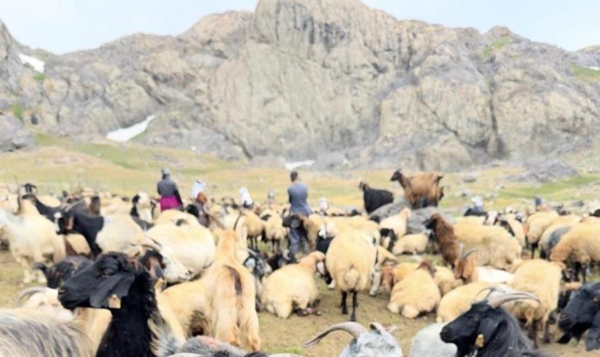 Hakkari'de görenleri büyüleyen manzara! 3 bin 500 rakımda keşfettiler