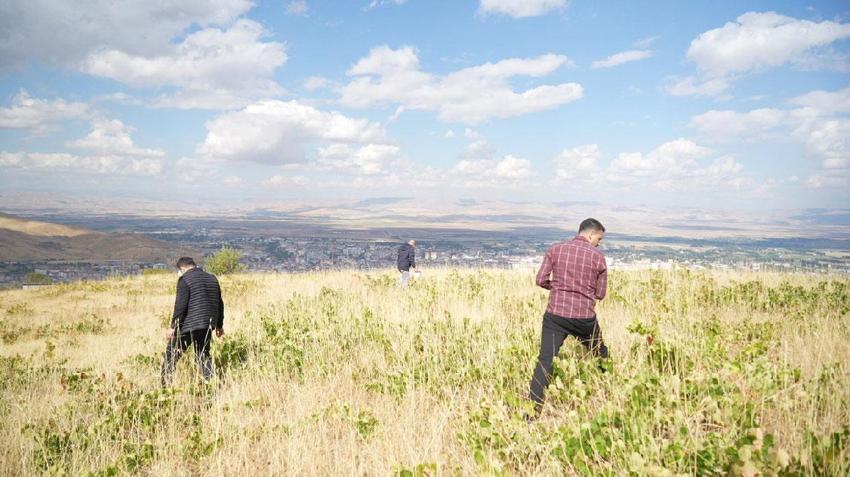 Muş üzümünün binlerce yıllık yolculuğu! Sofralık, pekmez ve bastık yapımında kullanılan çok sayıda çeşit