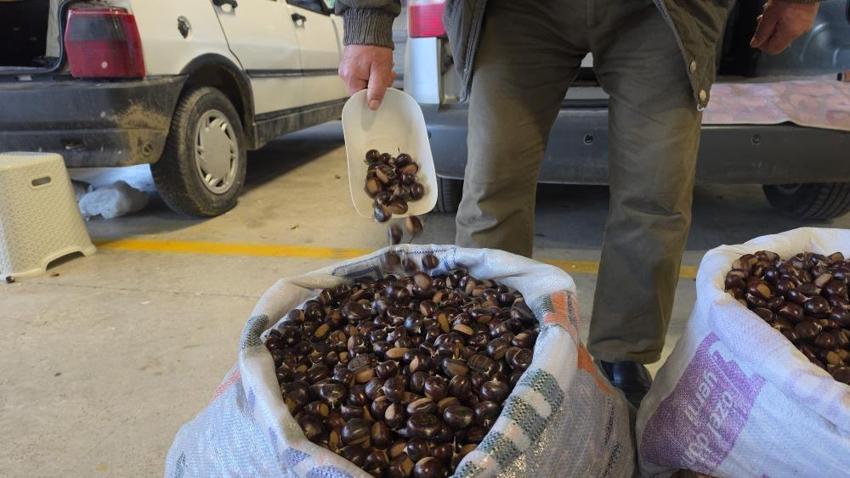 Düzce'nin tescilli lezzeti pazara indi: Lokum gibi soyuluyor, çiğ bile yeniyor! İnce kabuğu ve eşsiz aromasıyla kilosu 200-300 TL'den satışta!