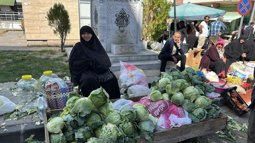 Hasat yıl sonuna kadar sürüyor: Giresun'da coğrafi işaret beklerken dünya tanımaya başladı