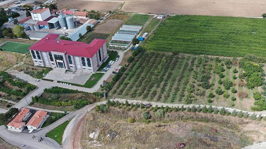 Çankırı'da okul bahçesinde liseliler yetiştirdi! 272 ağaçtan tam 7 ton ürün bekleniyor