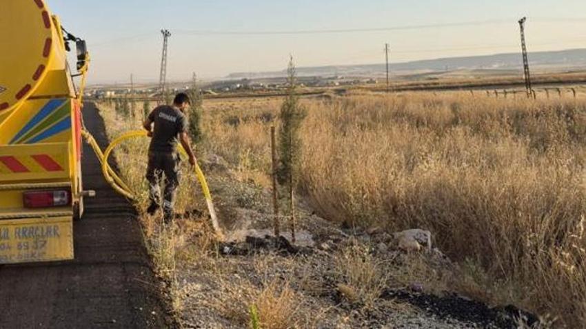 Batman’da dikkat çeken proje! Yollar meyve bahçesine dönüyor