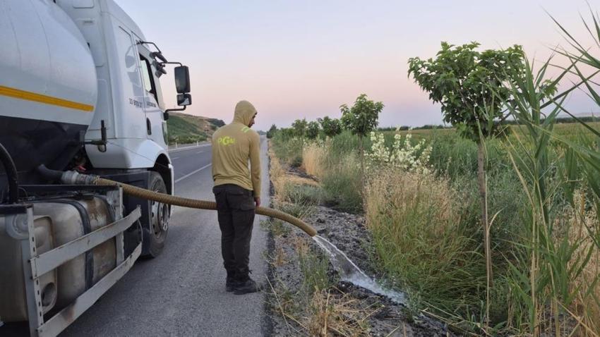 Batman’da dikkat çeken proje! Yollar meyve bahçesine dönüyor