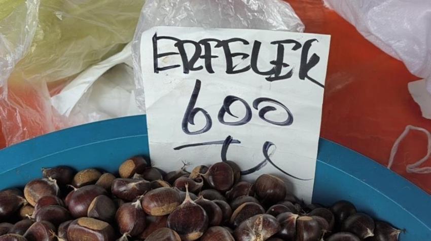 Böylesi Sinop’ta yetişiyor, Türkiye’nin dört bir yanından sipariş yağıyor: Kilosu 800 TL’ye kadar çıktı