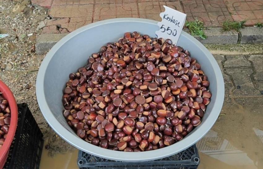 Böylesi Sinop’ta yetişiyor, Türkiye’nin dört bir yanından sipariş yağıyor: Kilosu 800 TL’ye kadar çıktı