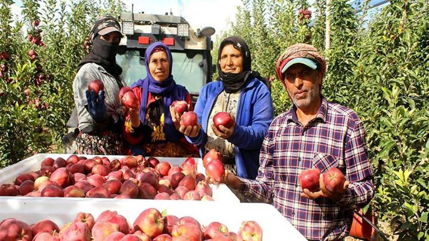 Don vurduğu yeri unutturdu: Bu yıl verim %100, bahçeler dolup taştı, Kayseri'den 4 ülkeye ihracat başladı