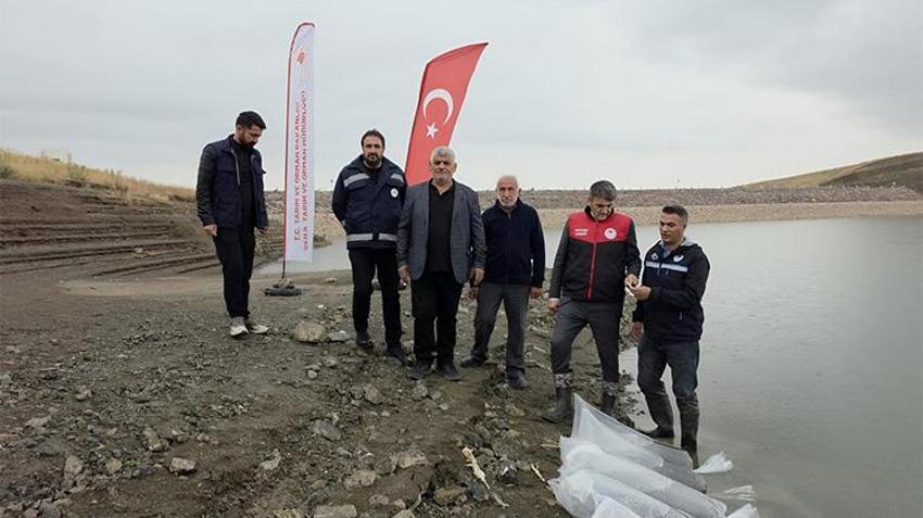 Van resmen para basıyor: Yıllık 25 milyon dolarlık kazanç!