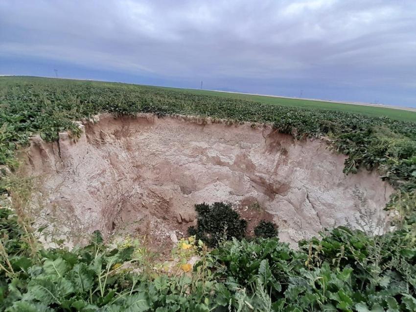 Her gün yeni kabus patlıyor! Konya'da köylere sıçradı, 'yasaklanmalı' deyip kötü haberi verdi