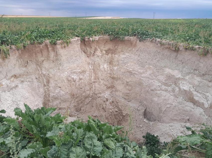 Her gün yeni kabus patlıyor! Konya'da köylere sıçradı, 'yasaklanmalı' deyip kötü haberi verdi