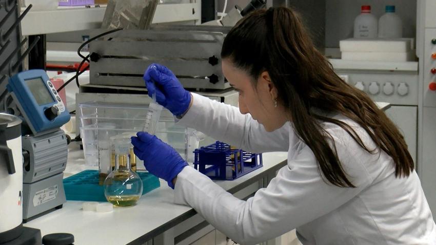 Hayvan yemi diye atıyordu, içinden servet çıktı: Yüzde 80 protein saklıymış