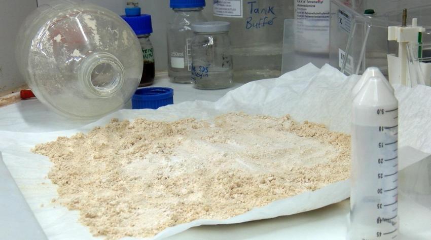 Hayvan yemi diye atıyordu, içinden servet çıktı: Yüzde 80 protein saklıymış