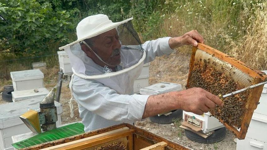 Bursa’da emekli başgardiyan yıllık 1 ton üretiyor! İngiltere ve Avusturya sıraya girdi