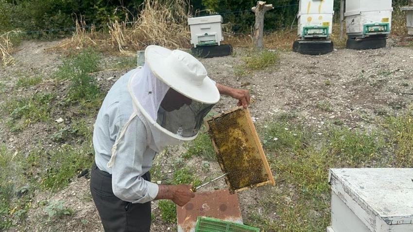 Bursa’da emekli başgardiyan yıllık 1 ton üretiyor! İngiltere ve Avusturya sıraya girdi