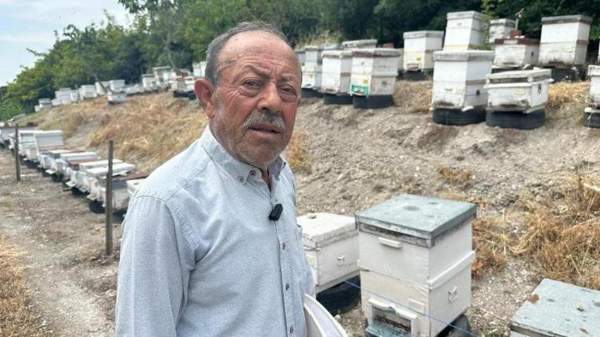 Bursa’da emekli başgardiyan yıllık 1 ton üretiyor! İngiltere ve Avusturya sıraya girdi