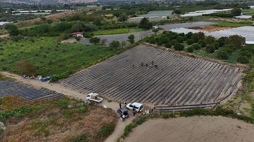 Kurumsal kariyeri bıraktı, ata toprağına döndü:Menemen'in tek sertifikalı organik üreticisi oldu