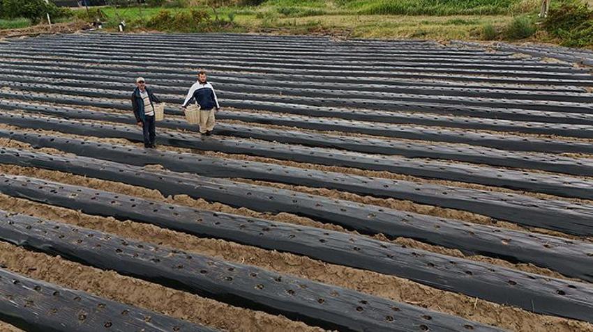 Kurumsal kariyeri bıraktı, ata toprağına döndü:Menemen'in tek sertifikalı organik üreticisi oldu