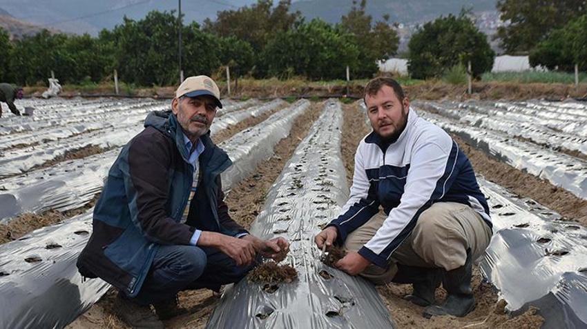 Kurumsal kariyeri bıraktı, ata toprağına döndü:Menemen'in tek sertifikalı organik üreticisi oldu