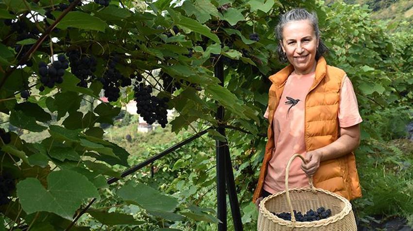 Atıl fındık bahçesini yüzde 60 devlet desteğiyle üzüm bağına dönüştürdü: İlk yıldan bir ton verim aldı