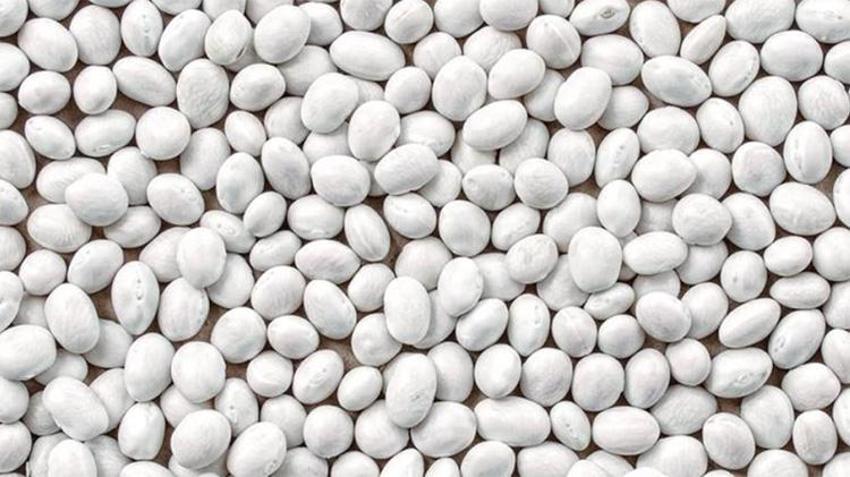Erzurum'un beyaz altını dünya vitrinine çıkıyor: İspir Fasulyesinde dev gastronomi hamlesi!