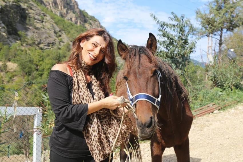 ki TIR dolusu at terk edilmişti! 5 yıl sonra ortaya çıkan manzara