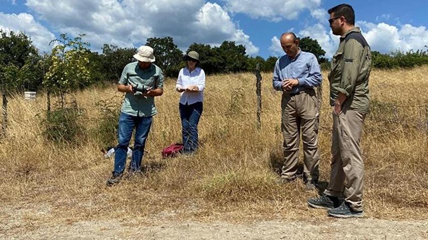 Çanakkale’de 86 bin yıllık mağarada gizemli keşif: Dünyadaki nadir örneklerden biri