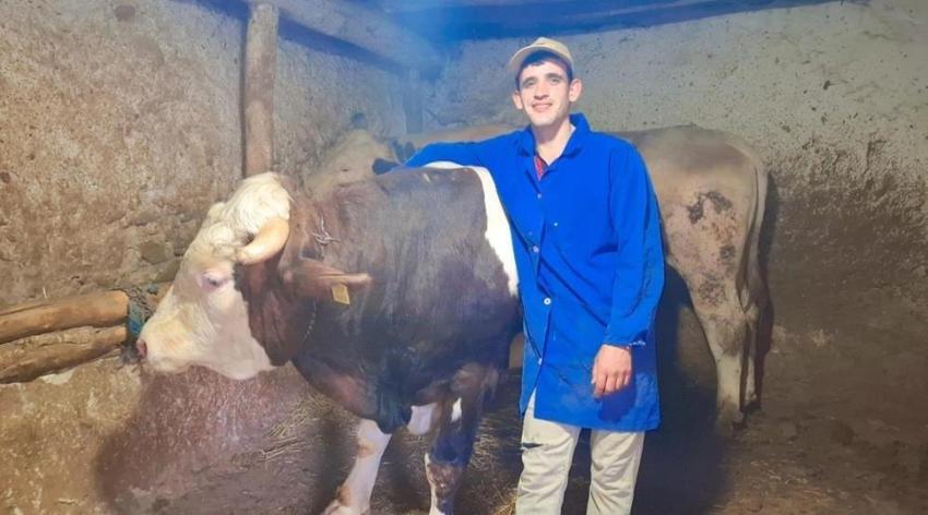 Eskişehir'de rekortmen iki dana: Rekorlar kitabına başvuracaklar