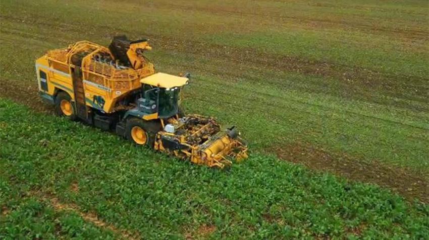 Tekirdağ toprağından rekor çıktı: Tarlada dekar başına tam 10 ton!