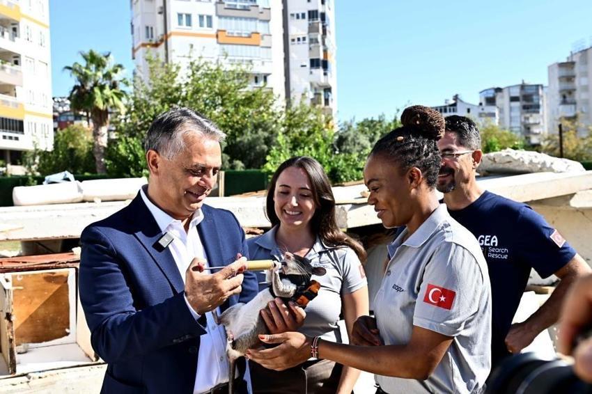 Antalya’da “kahraman fareler” göreve hazırlanıyor! Enkazda kazazedeyi buldular