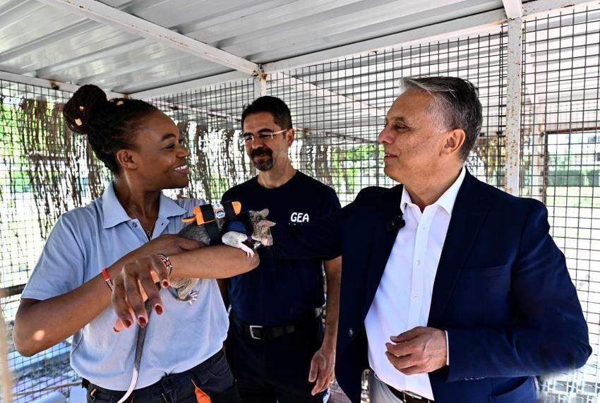 Antalya’da “kahraman fareler” göreve hazırlanıyor! Enkazda kazazedeyi buldular