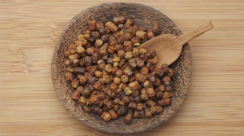 Balı ve poleni unutturan mucize! Petekten çıkan şifa: Arı ekmeği... Öğrenen sporcular tek tek protein tozunu bırakıyor