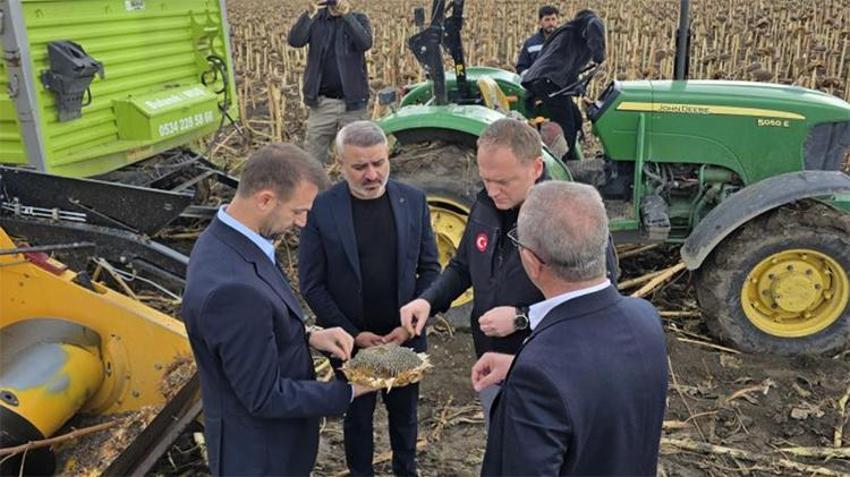 Muş'ta tarımda alternatif ürün yüz güldürdü: Bulanık tarlalarından bereket fışkırdı!
