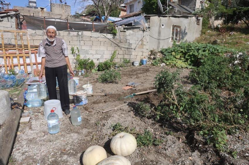 Hasat ettiği ürünleri bedava dağıtıyor! Duyan oraya koşuyor: Sahip Dede enkaz alanını sebze bahçesine çevirdi
