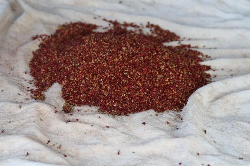Salkımından çekirdeğine kadar kapış kapış gidiyor: Kilosu 800-900 TL