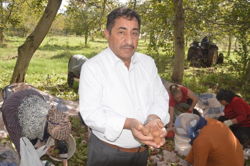 Geçen yıl don vurmuştu, bu yıl rekor geliyor! Tescilli beyaz altında 2 bin tonluk üretim beklentisi