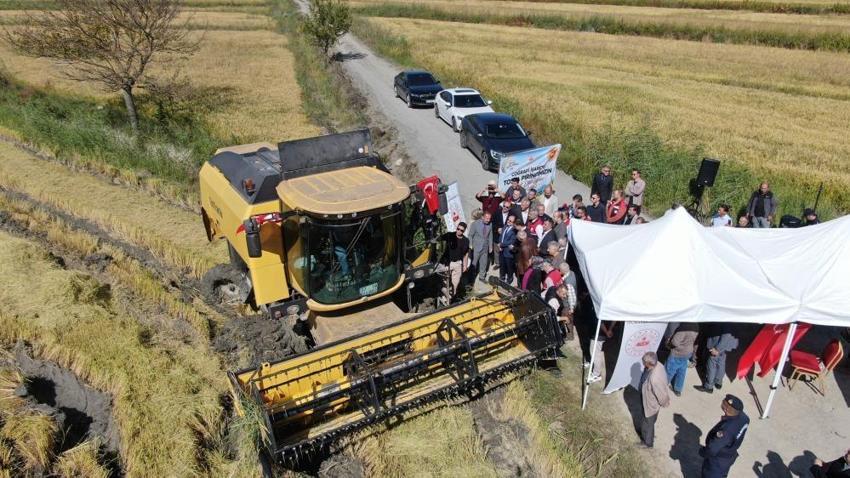 Ilgaz’ın kar sularıyla yetişiyor! Türkiye’nin dört bir yanına gönderiliyor: Kilosu 250 TL’den satılıyor