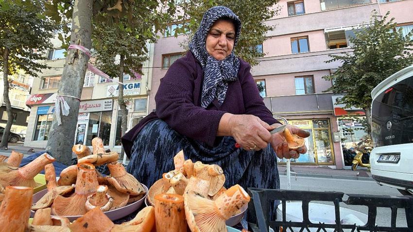 Kilosu 600 liraya satılan kanlıca mantarı vatandaşlardan yoğun ilgi görüyor