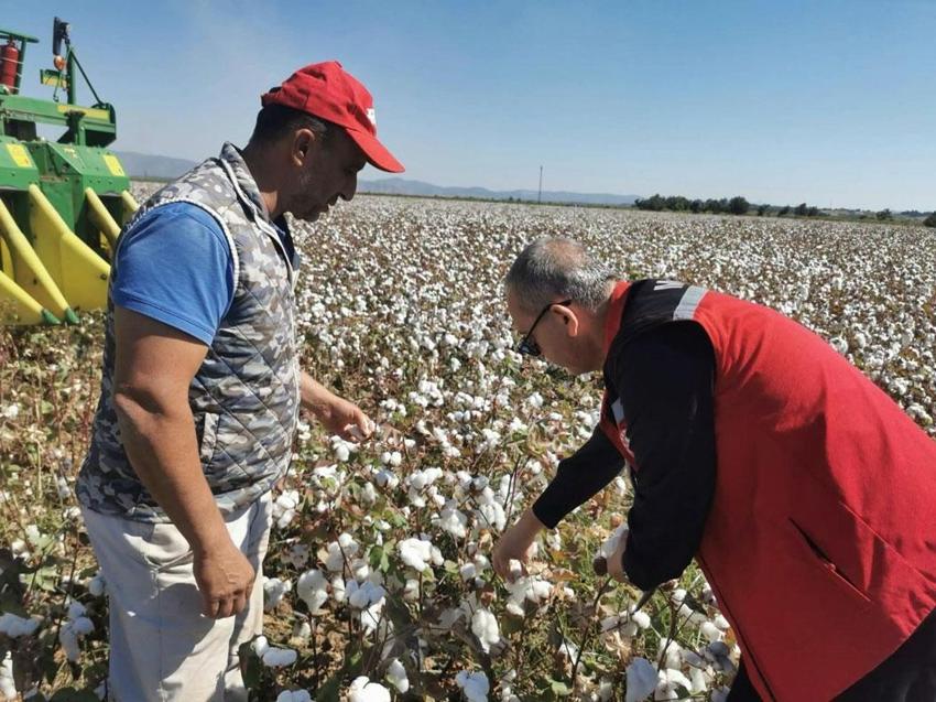 En önemli pamuk üretim merkezlerinden Saruhanlı'da pamuk hasat sezonu başladı