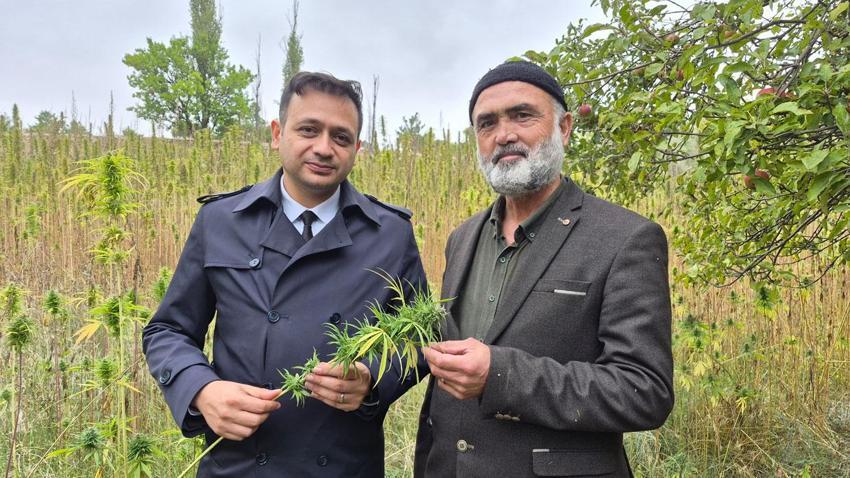 Ezber bozan hasat gerçekleşti! İlaçsız arıcılığın şifresi kenevirde bulundu