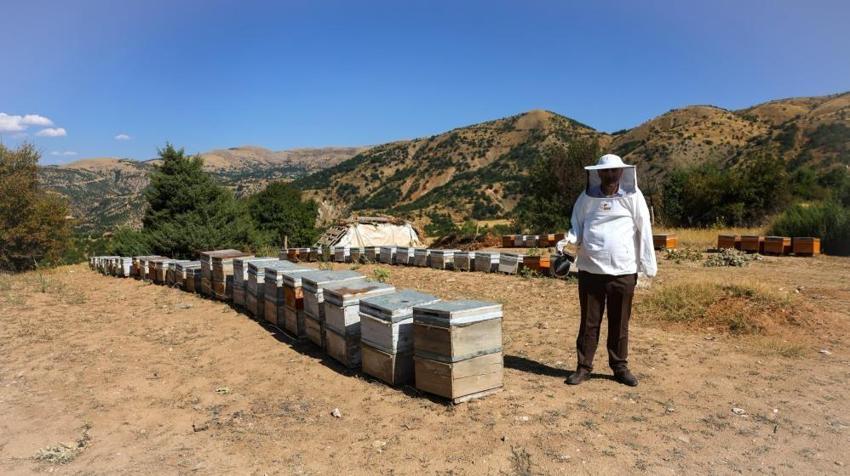 Malatya’da 60 yıllık sır! Toprak kovanlarda üretiliyor: Kilosu 3 bin TL