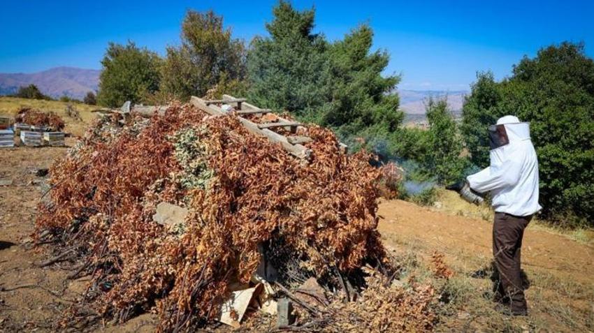 Malatya’da 60 yıllık sır! Toprak kovanlarda üretiliyor: Kilosu 3 bin TL